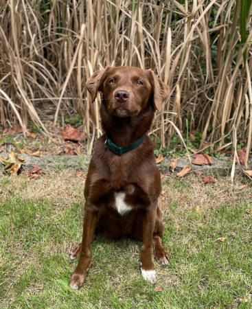 Ruby
